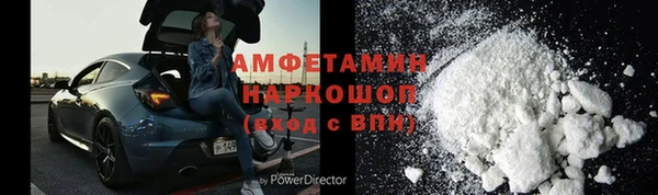 хмурый Алексин