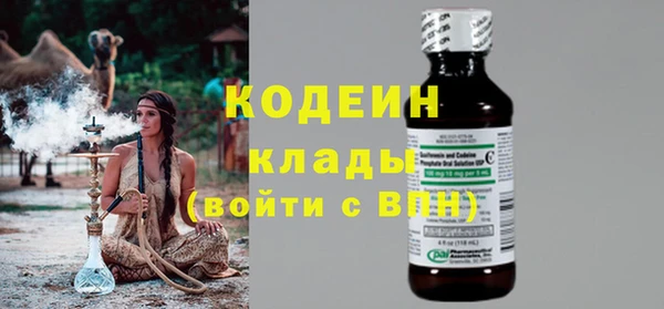 хмурый Алексин