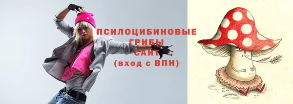 прущий лед Алзамай