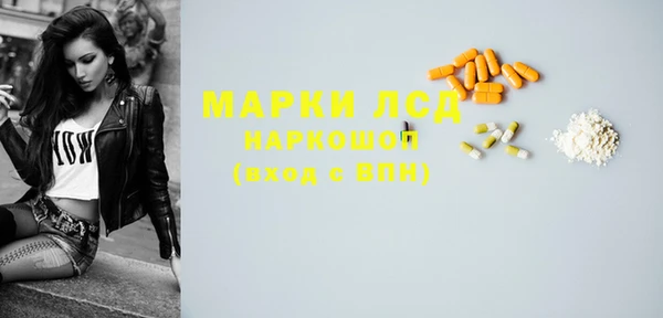 хмурый Алексин