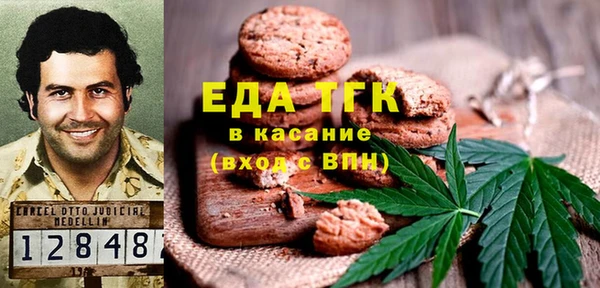 хмурый Алексин