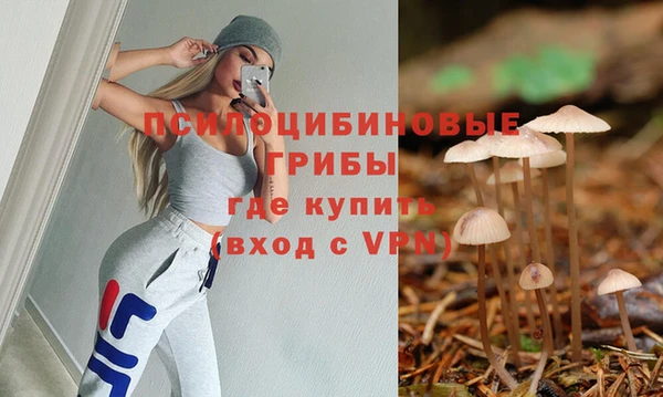 МДМА Алексеевка