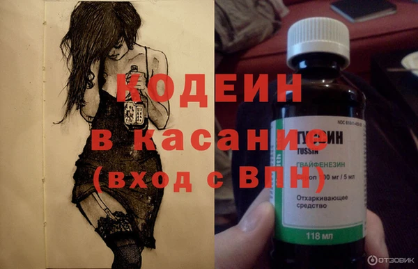 хмурый Алексин