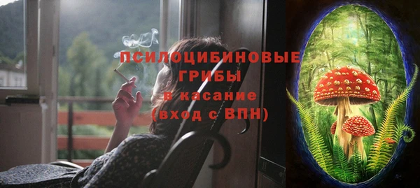 хмурый Алексин