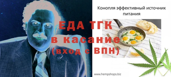хмурый Алексин