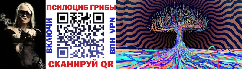 закладка Удомля Псилоцибиновые грибы GOLDEN TEACHER