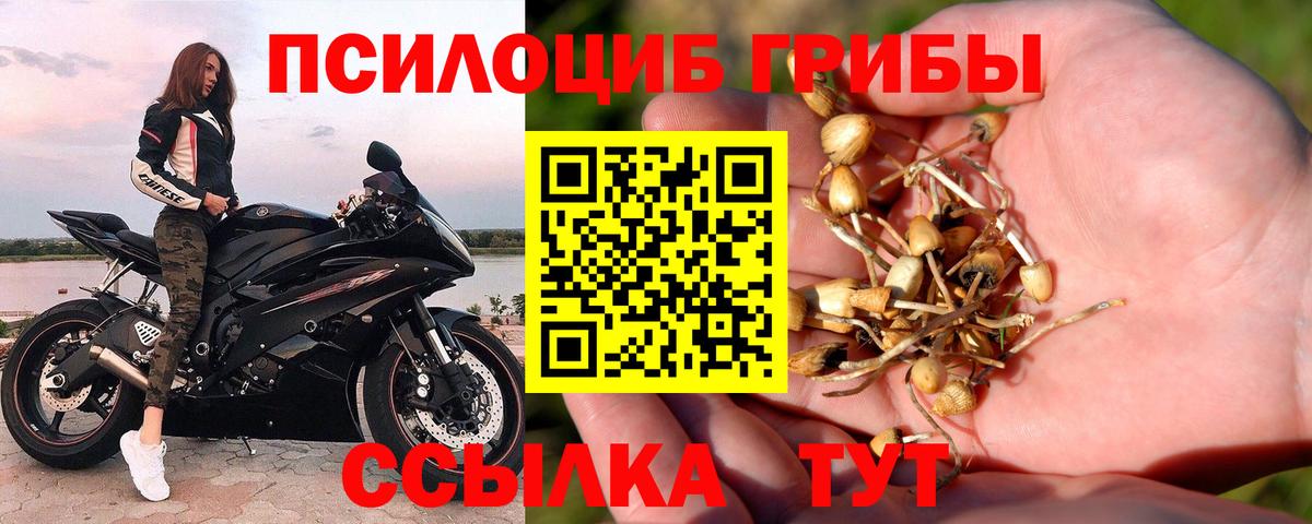 Галлюциногенные грибы MAGIC MUSHROOMS Удомля