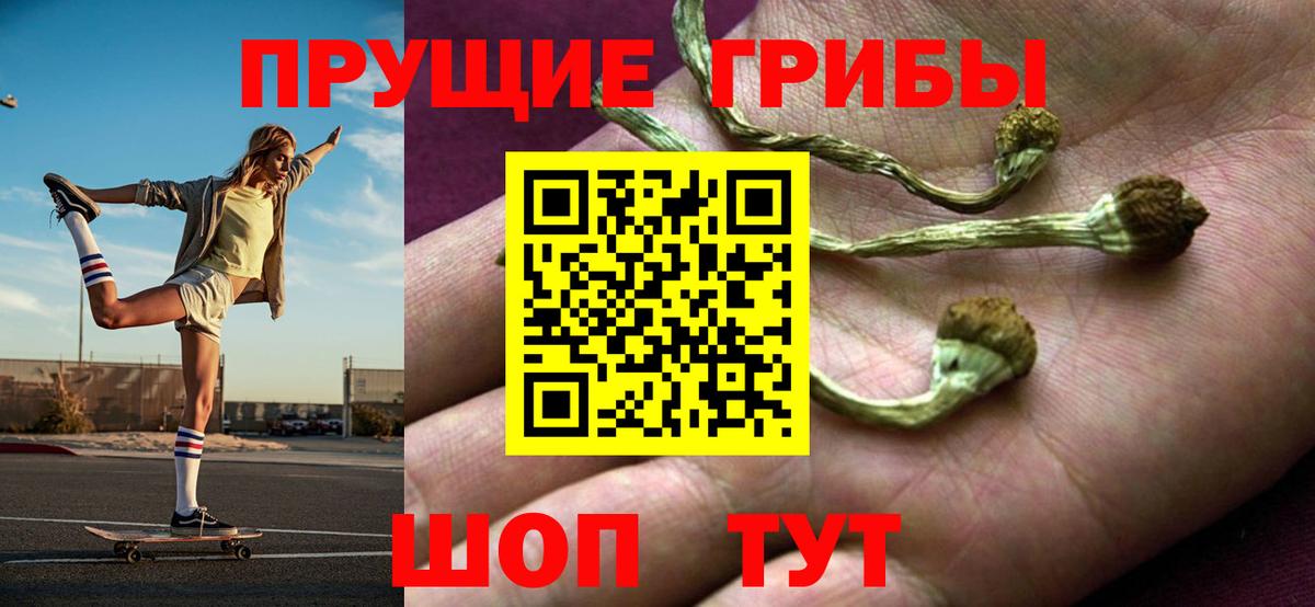 Псилоцибиновые грибы прущие грибы  Вход с VPN  Удомля 
