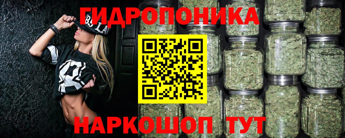 Каннабис OG Kush  Каннабис Bruce Banner  Конопля семена  Вход с VPN  Удомля 